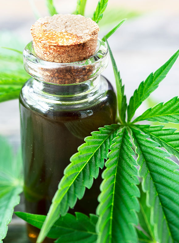 Cannabis oil bottle