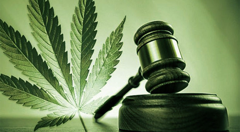 A green-tinted illustration showing a courtroom gavel and a marijuana leaf.